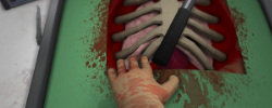 Surgeon Simulator 2013