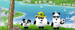 3 Pandas in Brazil