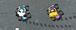 Raccoon Racing